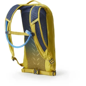 Nouvelle Collection Gregory Pace 6 H2O Sac à Dos Avec Réservoir 2l Femme, Jaune 7