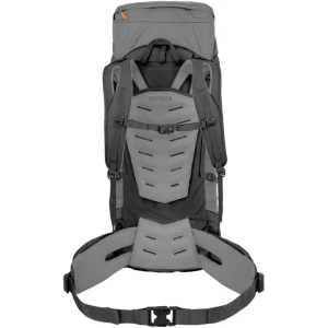 prix pas cher SALEWA Alptrek 65 + 10 Pro Sac à Dos, Gris 9